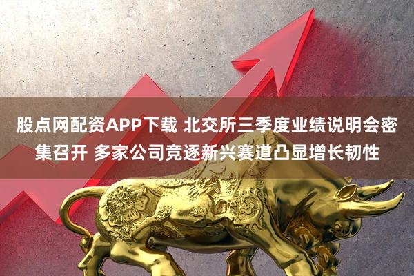 股点网配资APP下载 北交所三季度业绩说明会密集召开 多家公司竞逐新兴赛道凸显增长韧性