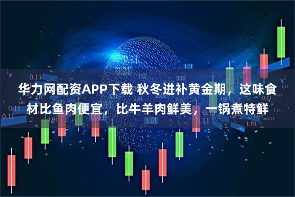 华力网配资APP下载 秋冬进补黄金期，这味食材比鱼肉便宜，比牛羊肉鲜美，一锅煮特鲜